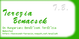 terezia benacsek business card